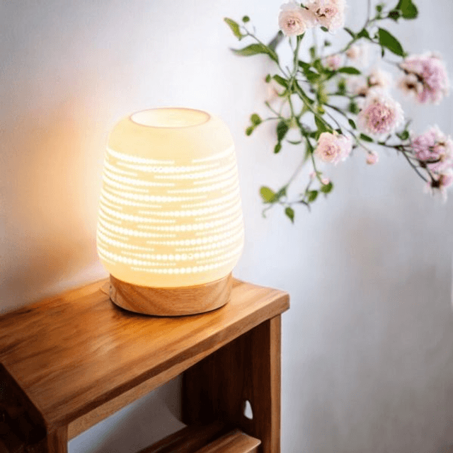 Diffuseur électrique "Oasis"